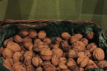 Signal 2025 10 28 181419